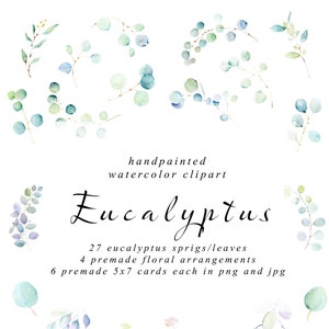 Acuarela Greenery Clipart. 37 elementos. 27 de follaje de eucalipto botánico y 10 gráficos prefabricados PNG ? Descarga digital