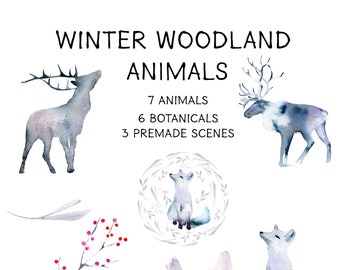 Woodland Animals Clipart: Winter Forest Creatures in watercolor. Fox, Stag, Caribou, Owl, Raccoon, Grizzly Bear and Cub with twigs, leaves