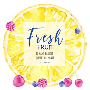 Fruit Clipart: watercolor graphics elements PNG Digital Download Commercial Use image 7