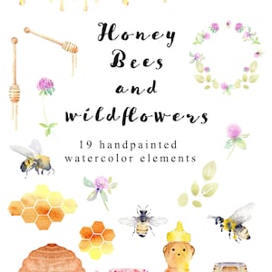 May include: Watercolour illustrations of honey bees, wildflowers, honeycombs, and honey jars. The text "Honey Bees and Wildflowers" is written in black cursive font. The text "19 handpainted watercolour elements" is written in black font.