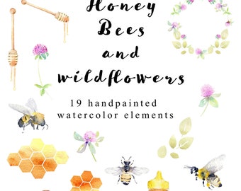 Watercolor Honey Clipart: Bees, Wildflowers, Honeycomb, Drips, Beehive and premade wreath. Hand Painted Illustration digital for DIY. PNG.