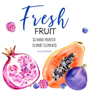 Fruit Clipart: watercolor graphics elements PNG Digital Download Commercial Use image 1