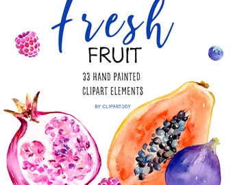 Fruit Clipart: watercolor graphics elements PNG | Digital Download | Commercial Use