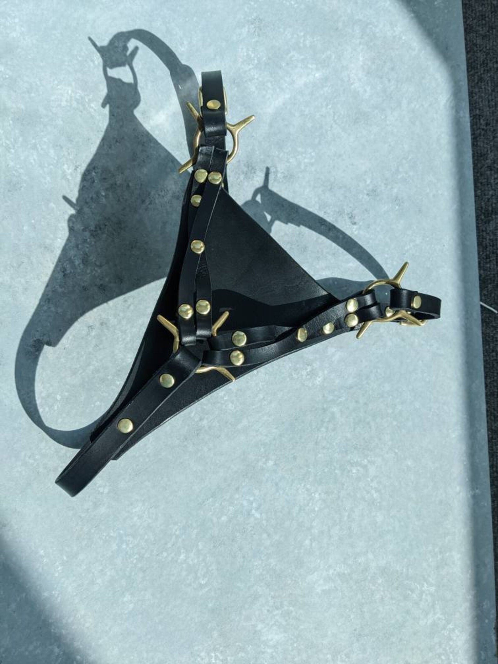 Leather Thong Leather Panties Knickers Panties Leather Harness Fetish