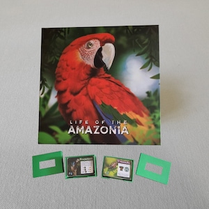 Card Dispensers (Single Mini Euro Size)