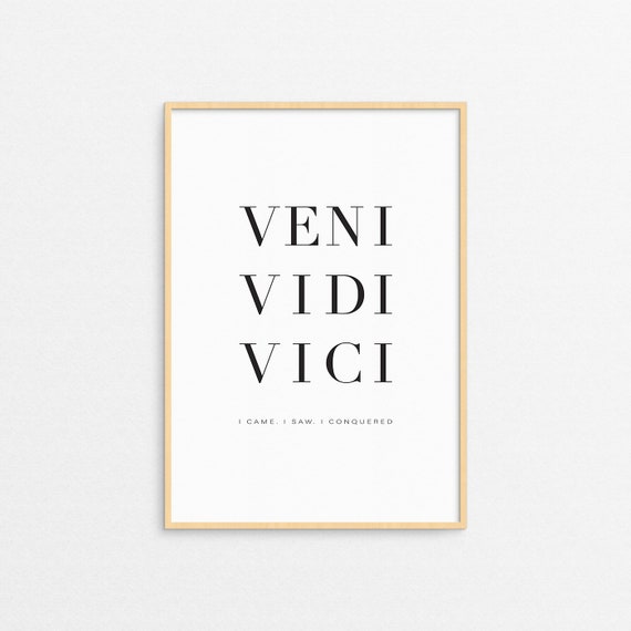 Veni Vidi Vici (I Came I Saw I Conquered) | Poster