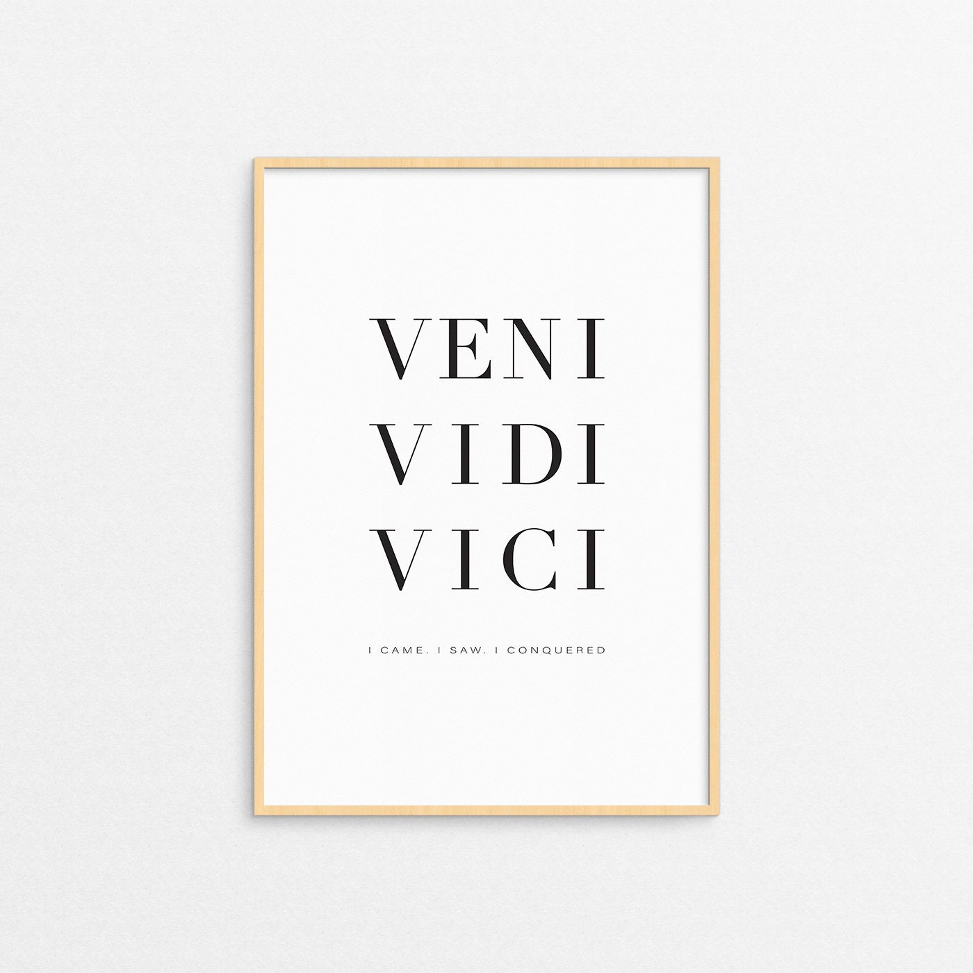 Veni Vidi Vici | Poster