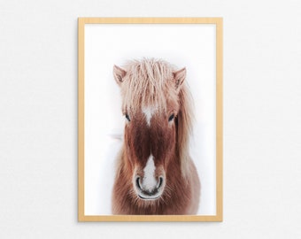 Icelandic Horse Print Printable Wall Art, Cute Pony Horse Photography Wall Art, Nursery Decor, Horse Decor, Horse Photo, Printable Horse Art