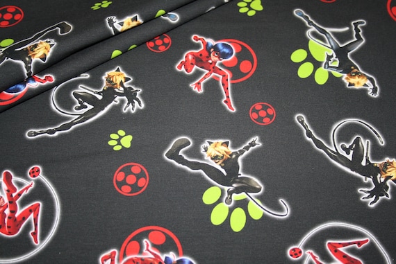 5 Diys Of Cat Noir Or Chat Noir Miraculous Ladybug