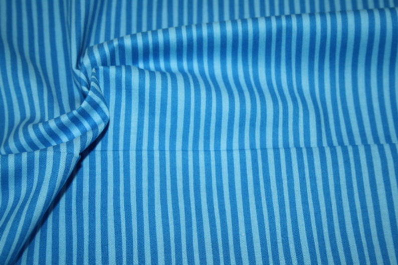 Ligne jeune de Westphalie tissus coton bande bleue image 4