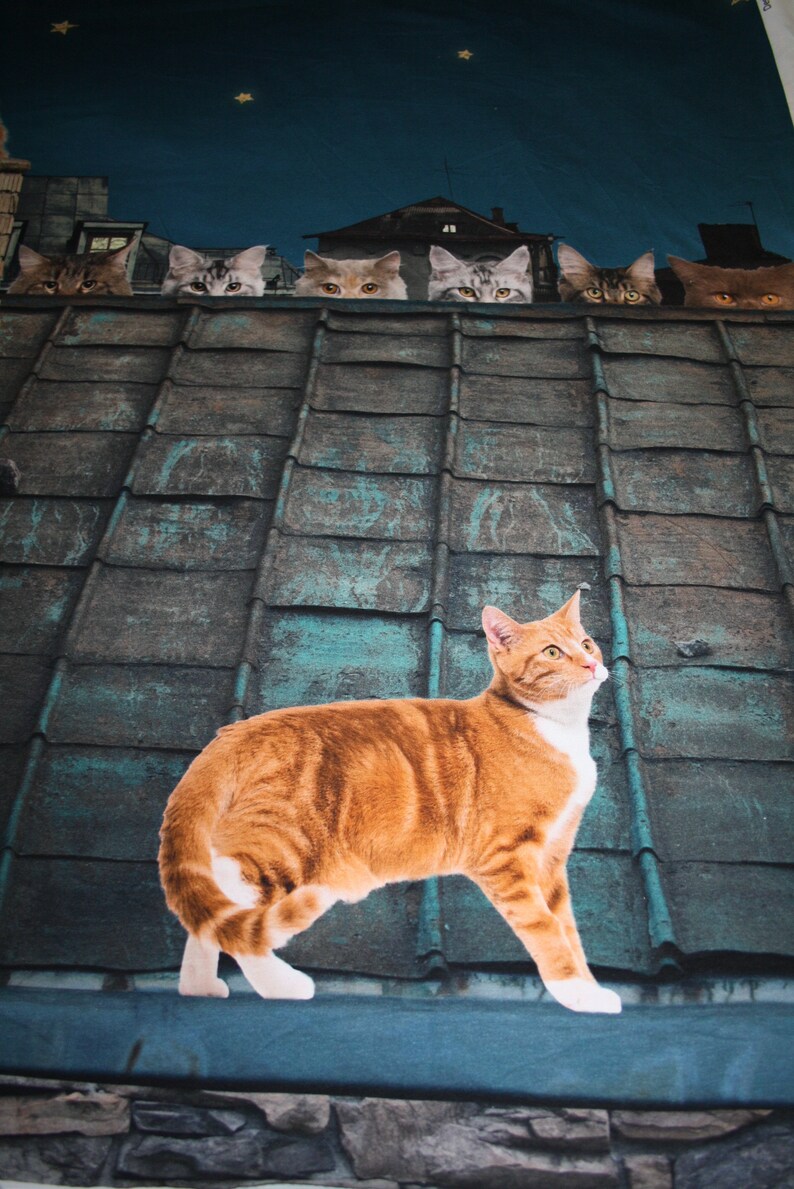 Stenzo Panel Stoff Jersey Stoff Katzen auf dem Dach Etsy