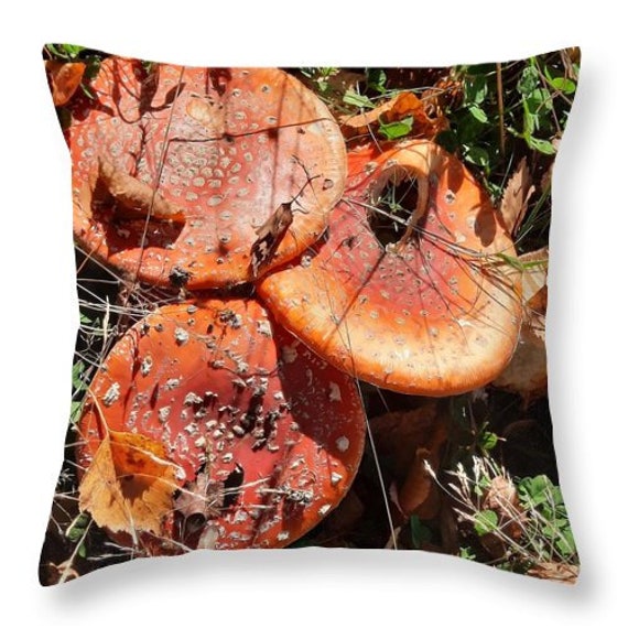 Housse Coussin Amanites Champignon Foret Automne Impression Beige Lin Photo Décoration Maison Campag