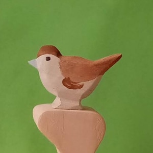 Bird Sperling