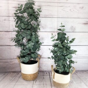 blumenkasten 40 cm obi NEW GARDENING Pflanzenkasten online kaufen   BUTLERS