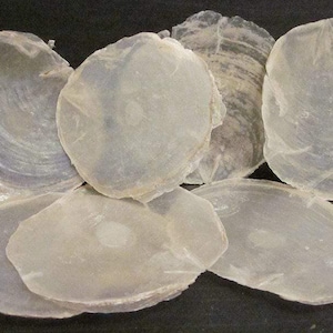 Plakjes capizschelp van 10 cm – 15 stuks, decoratief knutselmateriaal