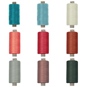 Può includere: Nove bobine di filo in vari colori, tra cui turchese, azzurro, crema, corallo, rosso, arancio, grigio, rosa e verde scuro. Ogni bobina è etichettata "AMAN" e "saba 30".