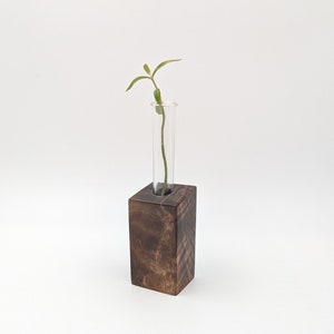 Walnut Burl Single Tube Propagation Station - Stunning Grain, Small Size