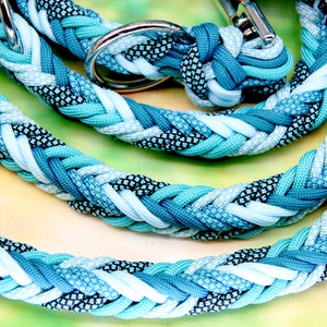 May include: A braided dog leash in shades of blue and white with a silver clasp and ring. The leash is made of paracord and has a woven pattern.