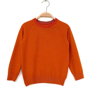 Könnte beinhalten: Ein langärmeliges Sweatshirt in gebranntem Orange mit klassischem Rundhalsausschnitt sowie gerippten Bündchen an Kragen, Ärmeln und Saum. Das Kleidungsstück hängt an einem Holzkleiderbügel und zeichnet sich durch ein schlichtes Design mit Raglanärmeln und einer durchgehend einheitlichen Farbgebung aus.