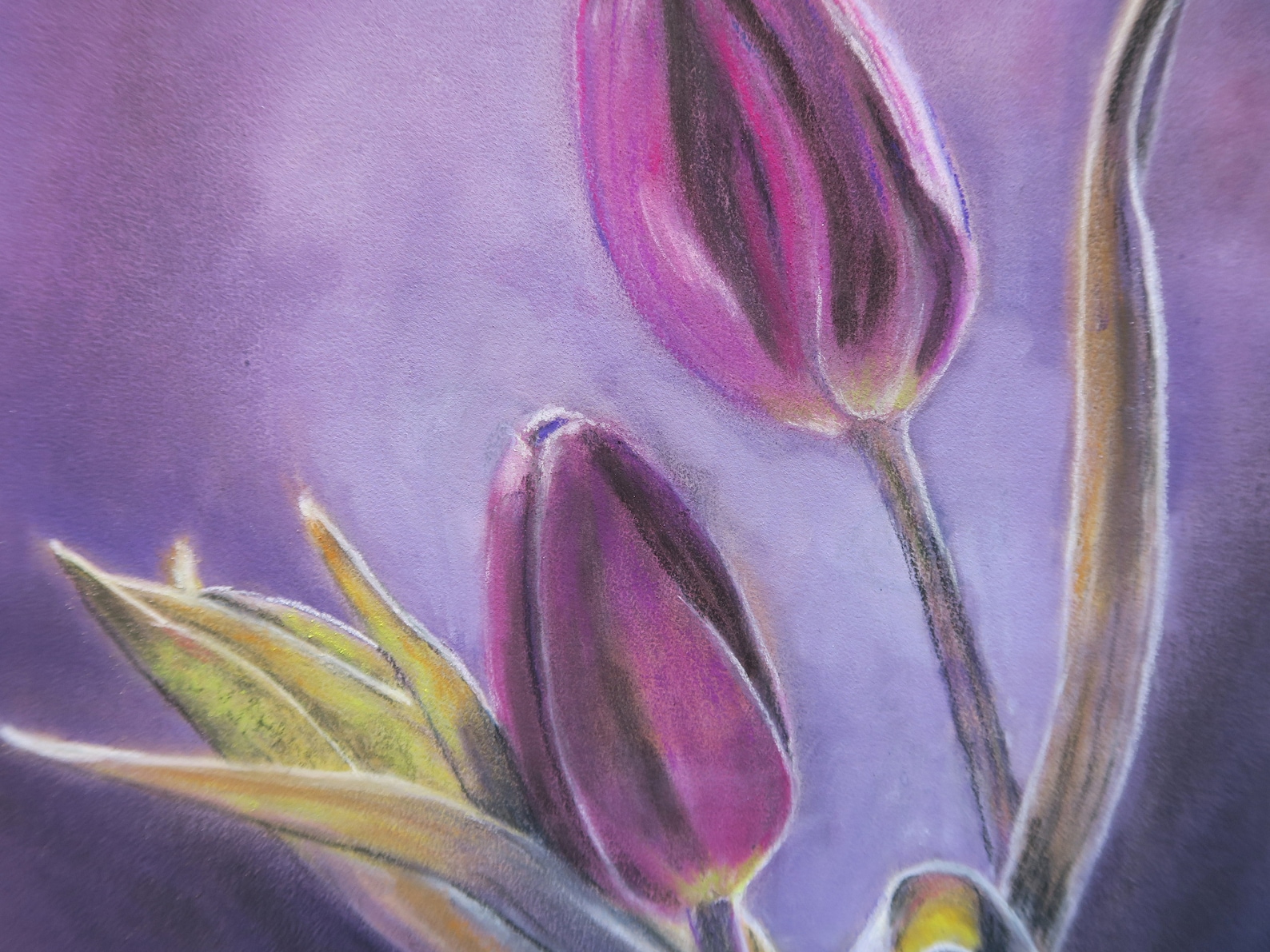 UNIKAT Original Tulips Modern Art Pastel Chalk Purple Pink Etsy