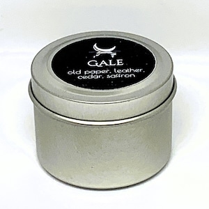 Gale | Libraries and Saffron | Baldur&#39;s Gate | Fandom Candle