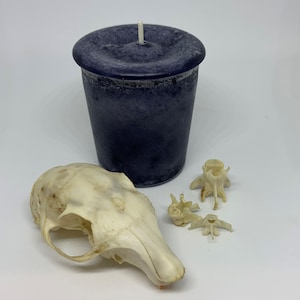 Harrowhark Nonagesimus | Black Currant | The Locked Tomb | Character Candle | Fandom | Fantasy