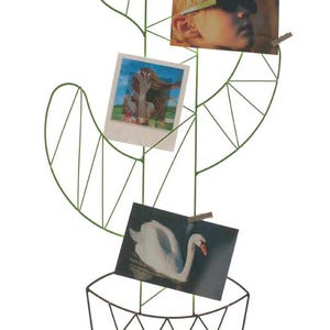 Cactus de support de carte de mur, galerie d’image de grille de photo, grille de mur de fil, mémo en métal d’organisateur, art de mur en métal, tableau de photo pour des étudiants