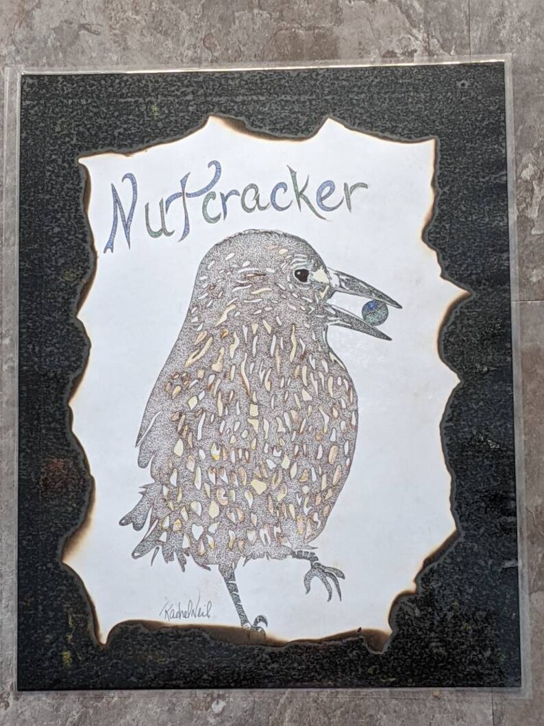 Nutcracker bird, original artwork, Original nutcracker, Wild bir Nutcracker bird, original artwork, Original nutcracker, Wild bir