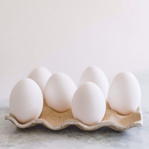 Farm Egg tray - Boiled Egg Tray