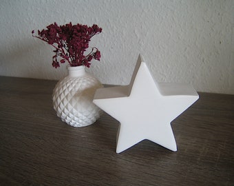 Decorative star star decorative vase vase DeSt01