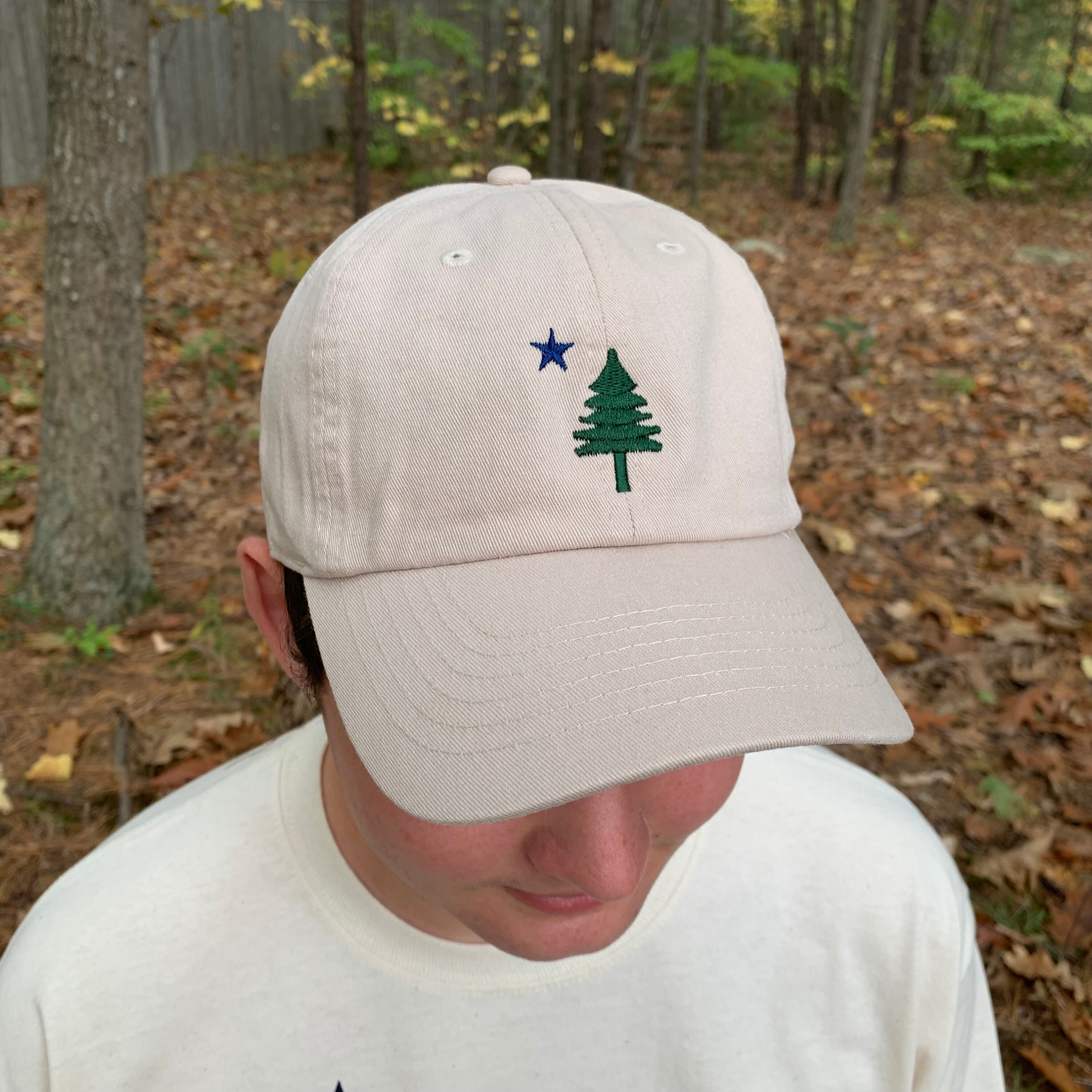 Maine Flag Champion Dad Hat Maine Flag 