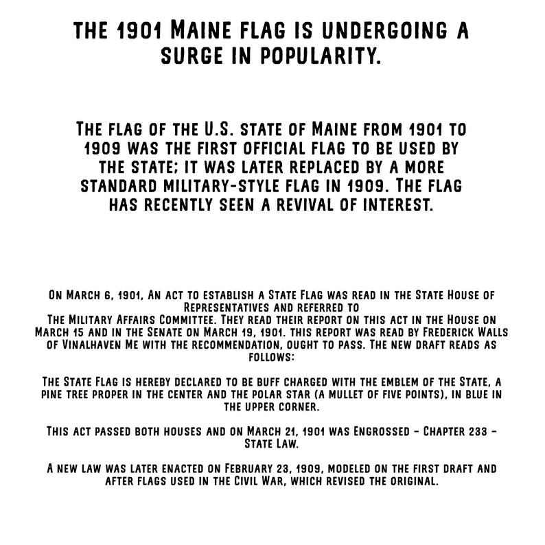 Maine Flag Gift for Her Maine Flag 1901 Maine Flag Gift Original Maine Flag Tea Towel Maine Flag Flour Sack Towel Maine Made Gift
