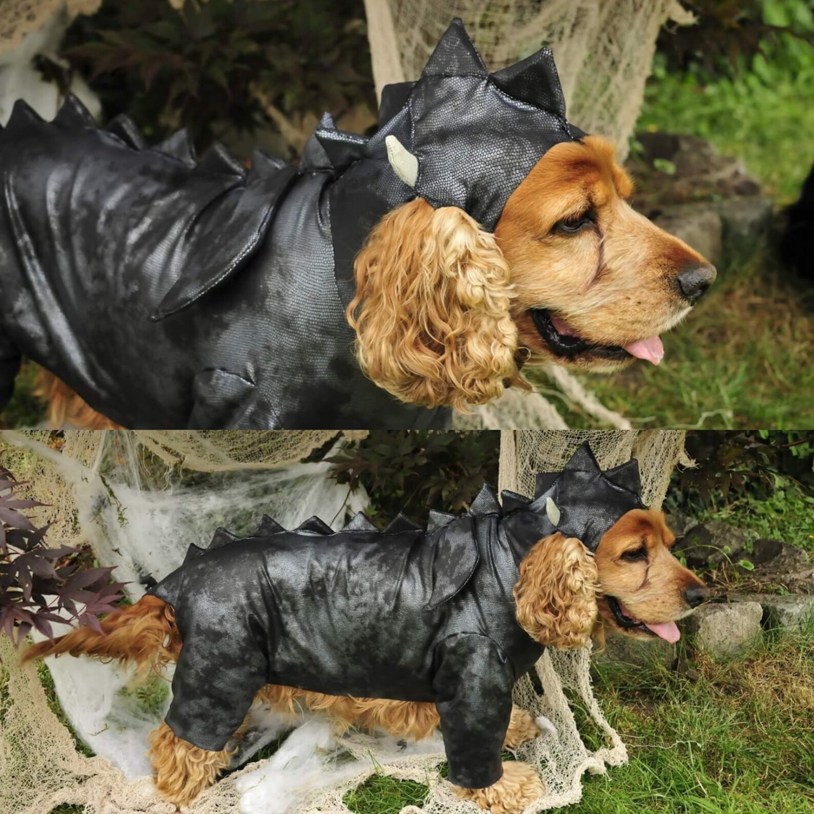 Dragon dog costume Etsy