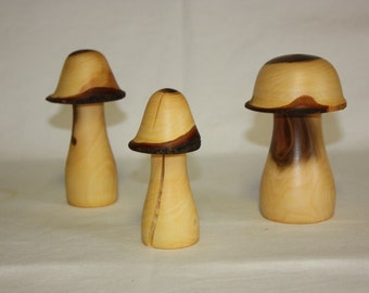 3 Pilze aus rustikalem Gartenholz. Verschiedene Größen.