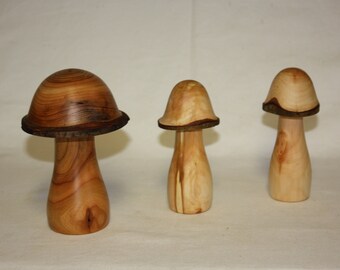 3 Deko-Pilze aus rustikalem Gartenholz. Unterschiedliche Größen und Holzarten.