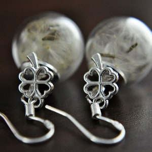 LUCK Real Dandelion Earring Silver Plated image 2