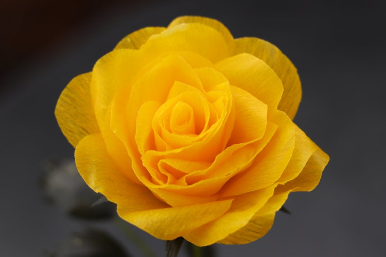 Gloria doublette crepe paper whiteyellowyellow 3404
