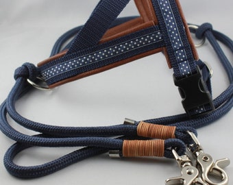 Norwegian harness "Pünktchen"