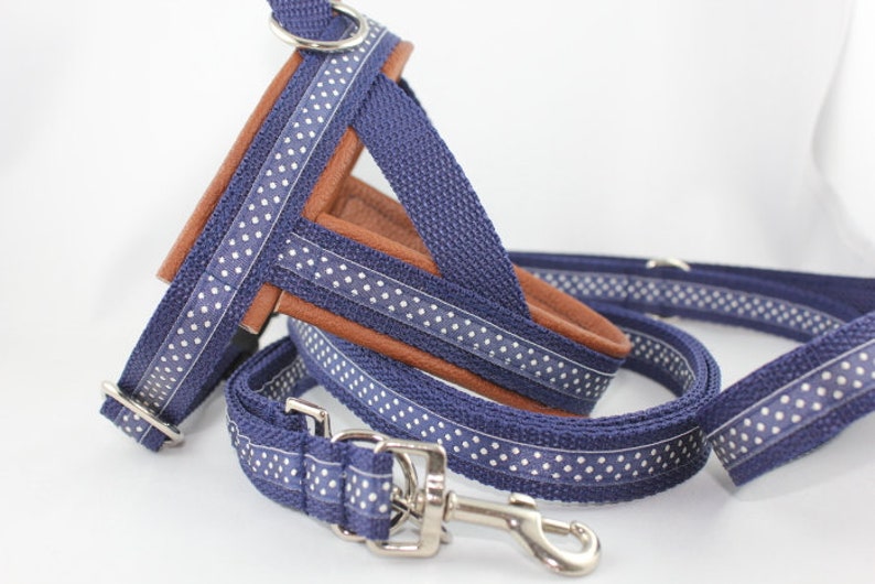 May include: Navy blue dog harness and leash set. The harness features a brown interior and is accented with white polka dots on navy blue fabric. The matching leash has a silver metal clasp. A stylish and functional pet accessory.