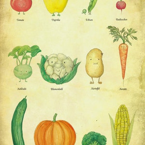 Affiche Affiche Légumes Affiche Cuisine DIN A3 Affiche Vintage, Affiche Cuisine, Illustration Légumes, Impression A3, Dessin Végétal, Alimentation, Santé image 5