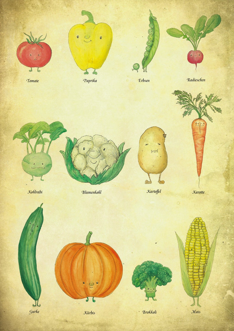 Affiche Affiche Légumes Affiche Cuisine DIN A3 Affiche Vintage, Affiche Cuisine, Illustration Légumes, Impression A3, Dessin Végétal, Alimentation, Santé image 5