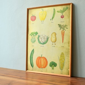 Affiche Affiche Légumes Affiche Cuisine DIN A3 Affiche Vintage, Affiche Cuisine, Illustration Légumes, Impression A3, Dessin Végétal, Alimentation, Santé image 3