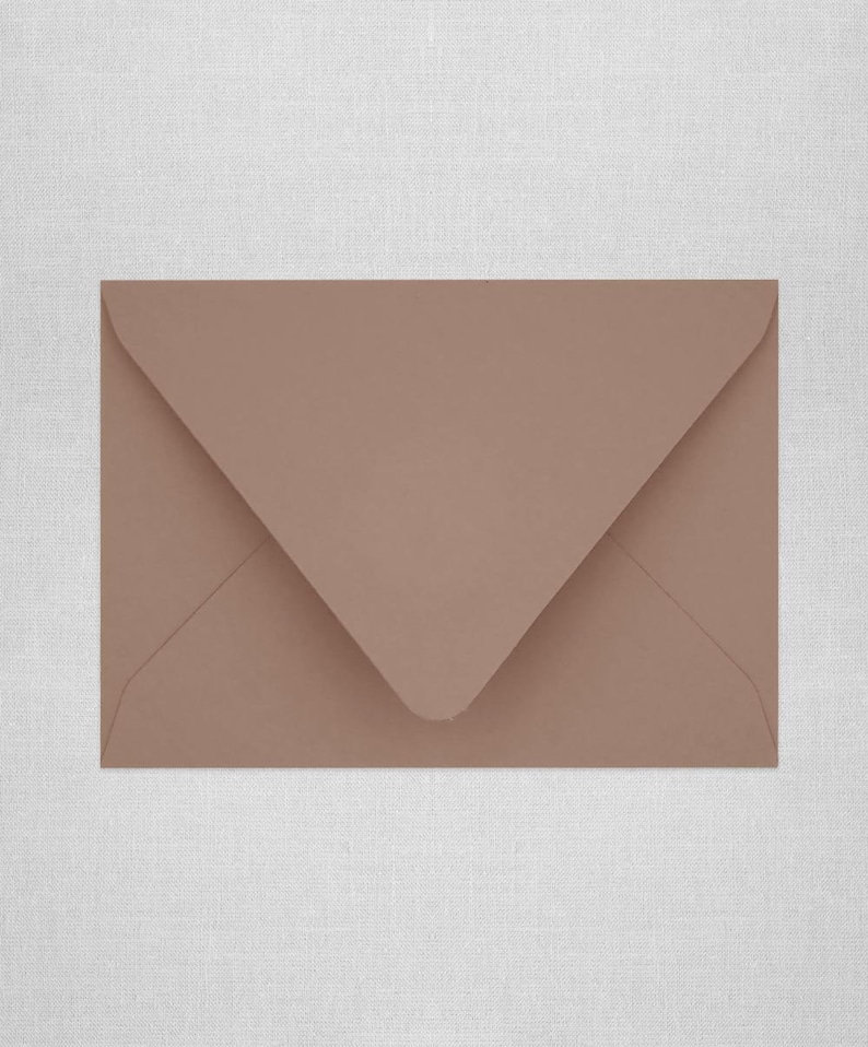 May include: A brown envelope with a standard flap.