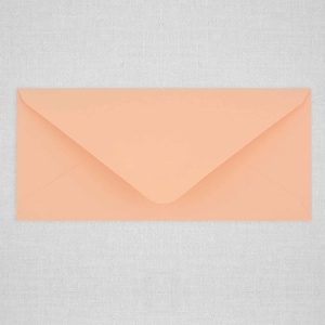 Envelopes coloridos nº 10 | Envelopes foscos | Nº 10 Envelopes | 4 1/8" x 9 1/2"