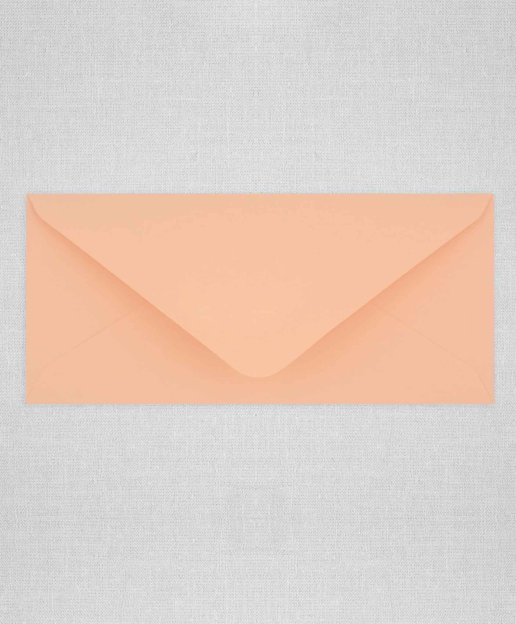 No. 10 Envelope Metallic Envelopes No. 10
