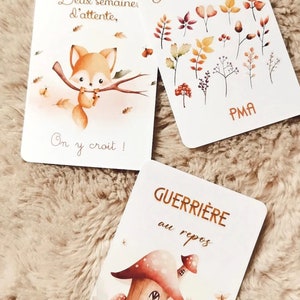Cartes PMA, cartes étapes parcours PMA, IAD image 4