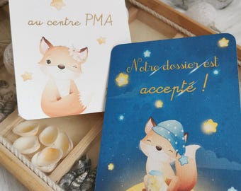 PMA milestone cards - pregnancy - baby - maternity - Future mothers - PMA journey - Milestone cards - Renardes model