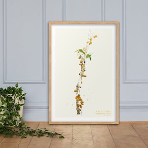 Puede incluir: Una ilustraci&oacute;n bot&aacute;nica enmarcada de un &aacute;rbol de cacao con ramas marrones y frutos amarillos. El texto "CACAO TREE Theobroma cacao" est&aacute; impreso debajo de la ilustraci&oacute;n.