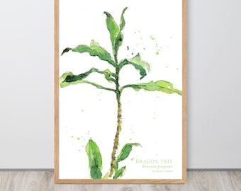 Impresión artística de Dracena, arte mural en acuarela de árbol de dragón, ilustración botánica de plantas exóticas, obra de acuarela verde fresco, arte de estilo boceto
