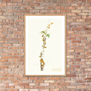 Puede incluir: Una ilustraci&oacute;n de acuarela de un &aacute;rbol de cacao, tambi&eacute;n conocido como Theobroma cacao, con vainas de cacao amarillas que crecen en las ramas. La ilustraci&oacute;n est&aacute; enmarcada en un marco de madera claro y se coloca sobre un fondo de pared de ladrillo.